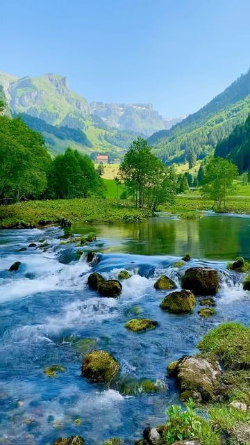 Swiss Nature (@natureswiss) on Twitter photo 