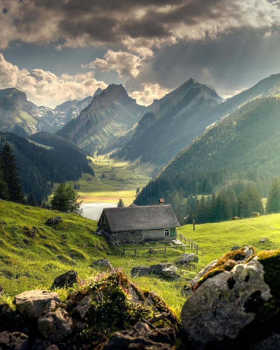 Swiss Nature (@natureswiss) on Twitter photo 