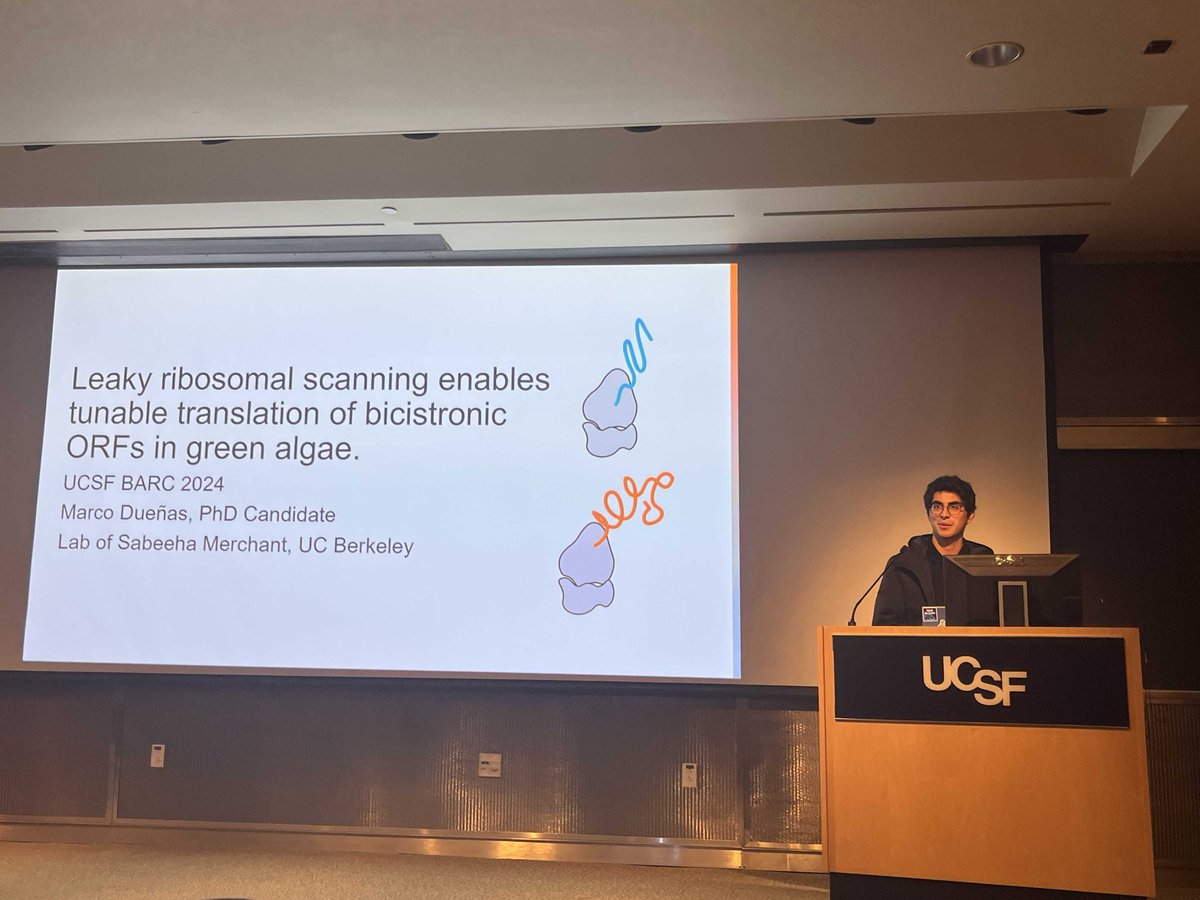 Merchant_Lab's tweet image. Marco presented his work on the polycistronic project at the UCSF Bay Area RNA club and was selected as one of the best talks! Keep an eye out for more polycistronic updates to come!