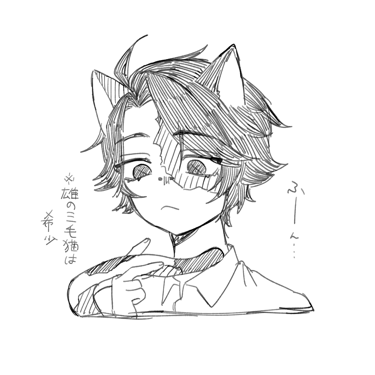 三毛猫ノトン
⚠️ケモ耳 
