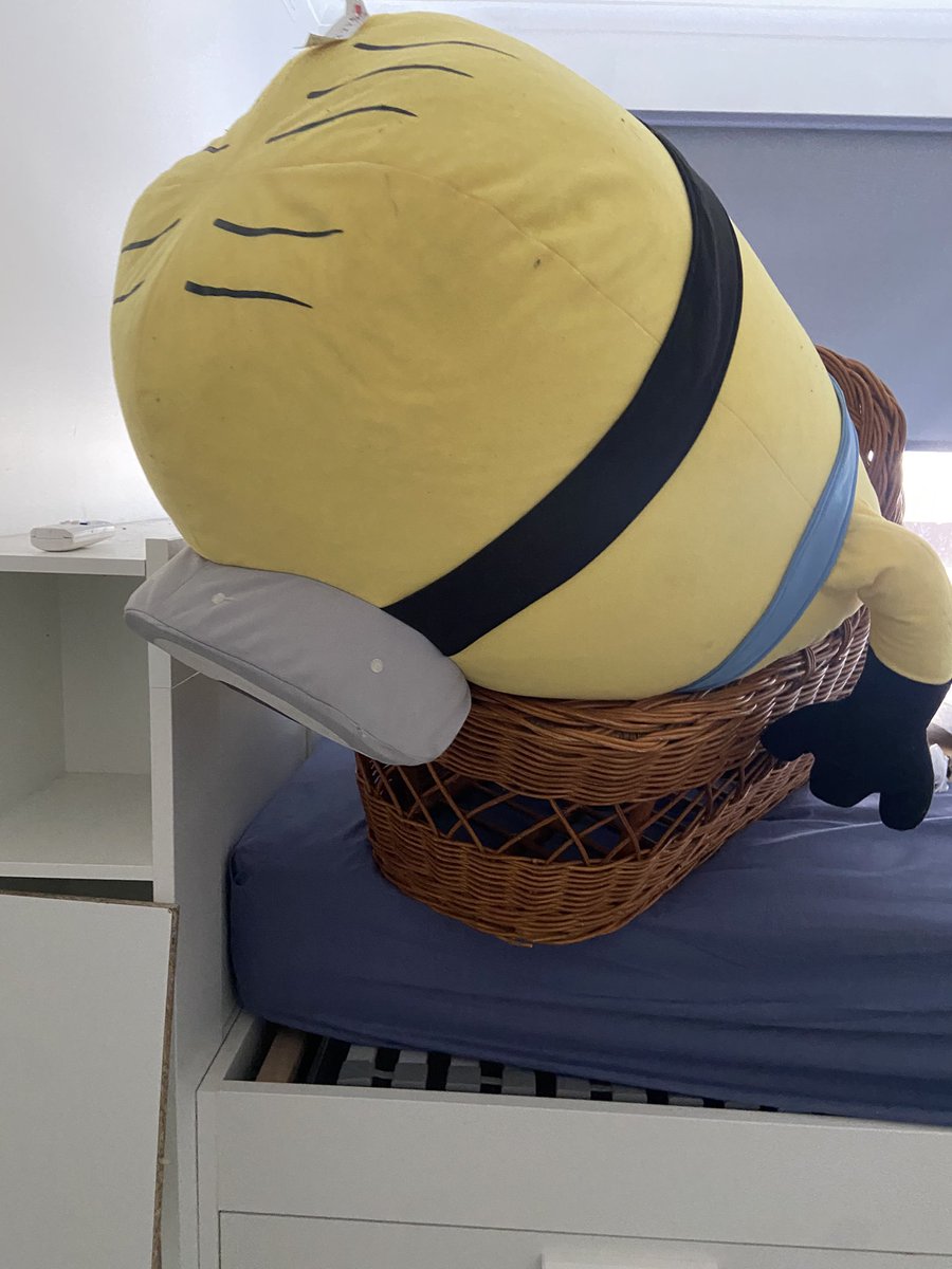 ellie 💭 tweet media