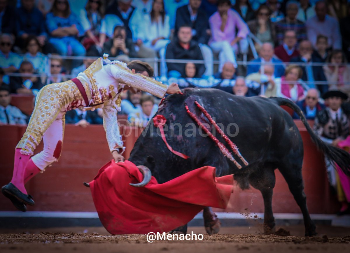 objetivoeltoro's tweet photo. 🏆Mejor estocada de la #feriataurinasalamanca2024
@IsmaelMartinM
#Salamanca #premio #tauromaquia #estocada #fotografiataurina https://t.co/RE36TClnJU
