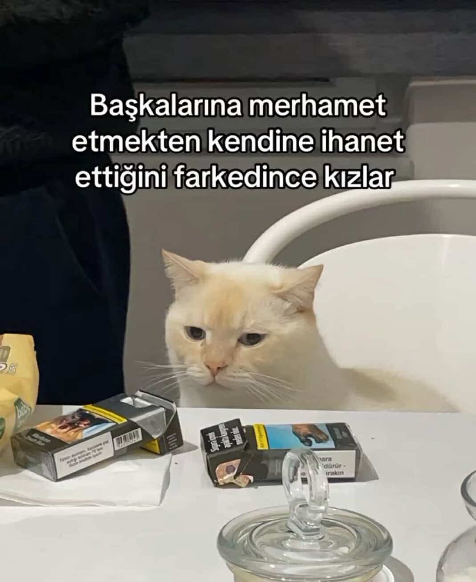 artikbisaIin's tweet photo. https://t.co/1G0hk37MEG