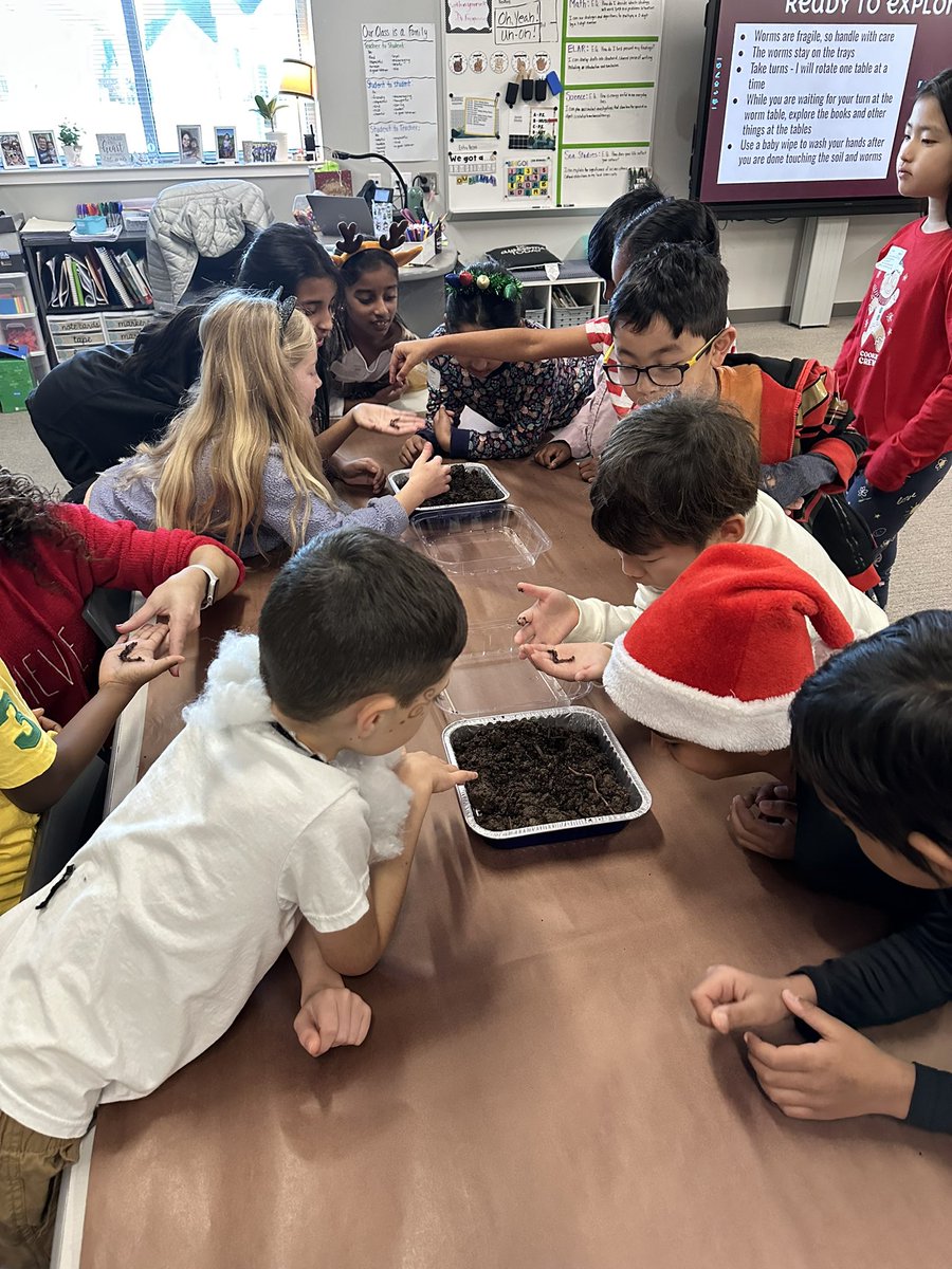 MrsKalustian's tweet photo. Worms! Worms! Worms! Students learned all about worms and then got a hands on experience at my sessions during Blaze Your Own Trail Day at @PISDBryantElem 💜🪱 @ProsperISD https://t.co/0NV0wBttlu