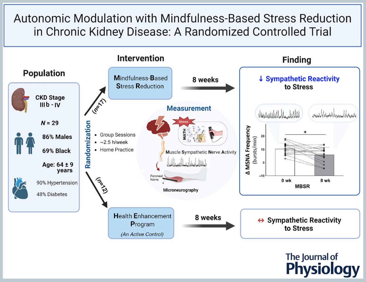Integrative Human Physiology Lab. (@parklabatemory) on Twitter photo Check out our new paper led by <a href="/JinheeJeong_/">Jinhee Jeong</a> !
Autonomic modulation with mindfulness‐based stress reduction in chronic kidney disease: a randomized controlled trial
<a href="/JeanieParkMDMS/">Jeanie Park</a> <a href="/EmoryNephrology/">Emory Nephrology</a> <a href="/JPhysiol/">Journal of Physiology</a> <a href="/EmoryDeptofMed/">Emory Department of Medicine</a> <a href="/ThePhySoc/">The Physiological Society</a>
physoc.onlinelibrary.wiley.com/doi/10.1113/JP… Check out our new paper led by <a href="/JinheeJeong_/">Jinhee Jeong</a> !
Autonomic modulation with mindfulness‐based stress reduction in chronic kidney disease: a randomized controlled trial
<a href="/JeanieParkMDMS/">Jeanie Park</a> <a href="/EmoryNephrology/">Emory Nephrology</a> <a href="/JPhysiol/">Journal of Physiology</a> <a href="/EmoryDeptofMed/">Emory Department of Medicine</a> <a href="/ThePhySoc/">The Physiological Society</a>
physoc.onlinelibrary.wiley.com/doi/10.1113/JP…
