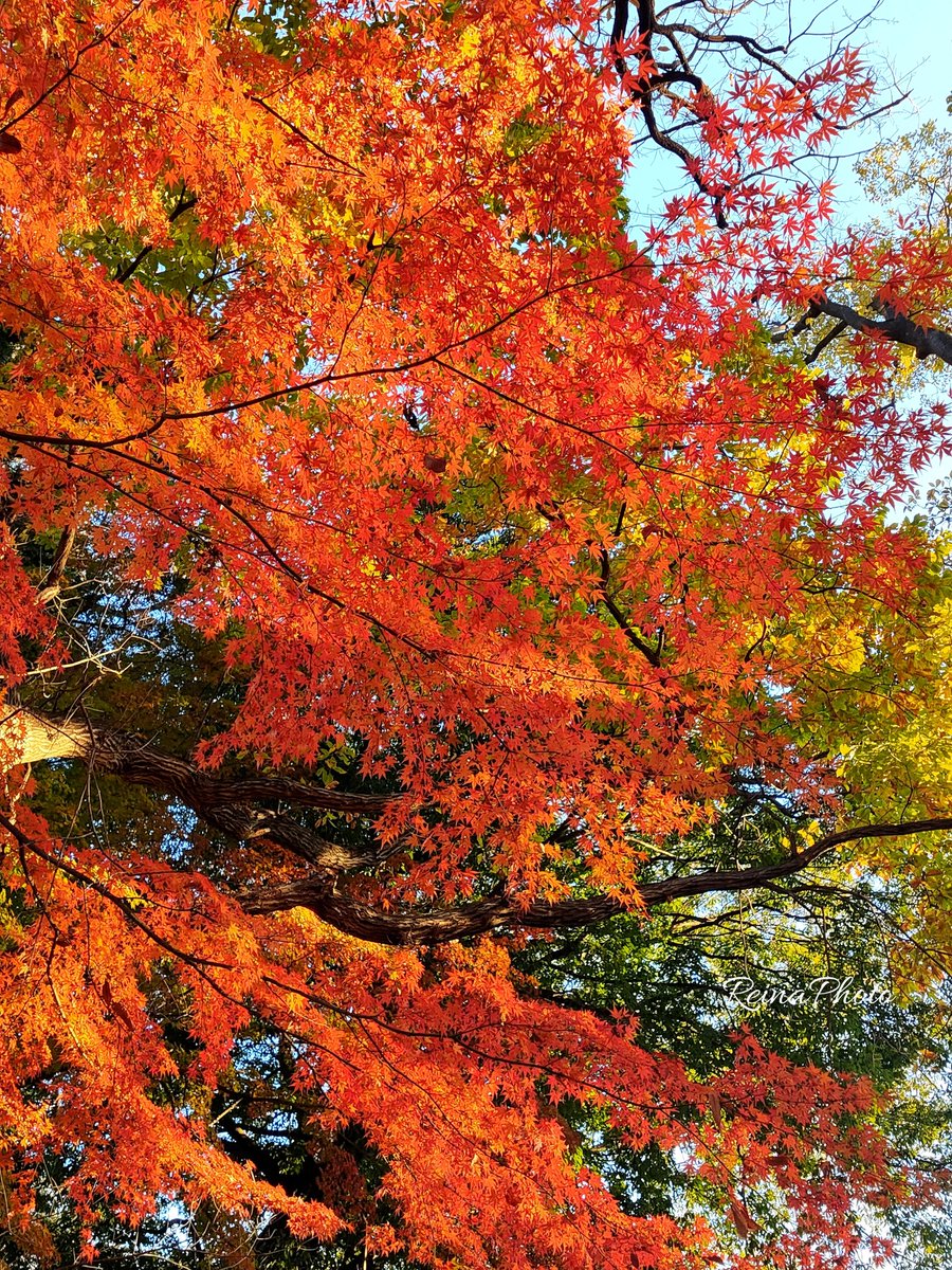 🎀𑜞᭄ Good morning 𝕏 friends🎀𑜞᭄
幸せはいつもすぐそばにある✨
Happiness is right there✨
#いつもありがとう (๑•᎑•๑)❤️⸒⸒
🎅🏻🎄🧣✨🍷🧦°.🎄🎁°.🎄𓂃𖤥𖥧𖥣⋆*