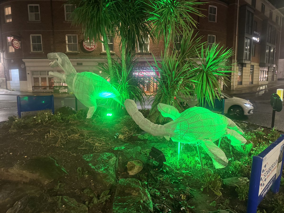 Jon Noad tweet media