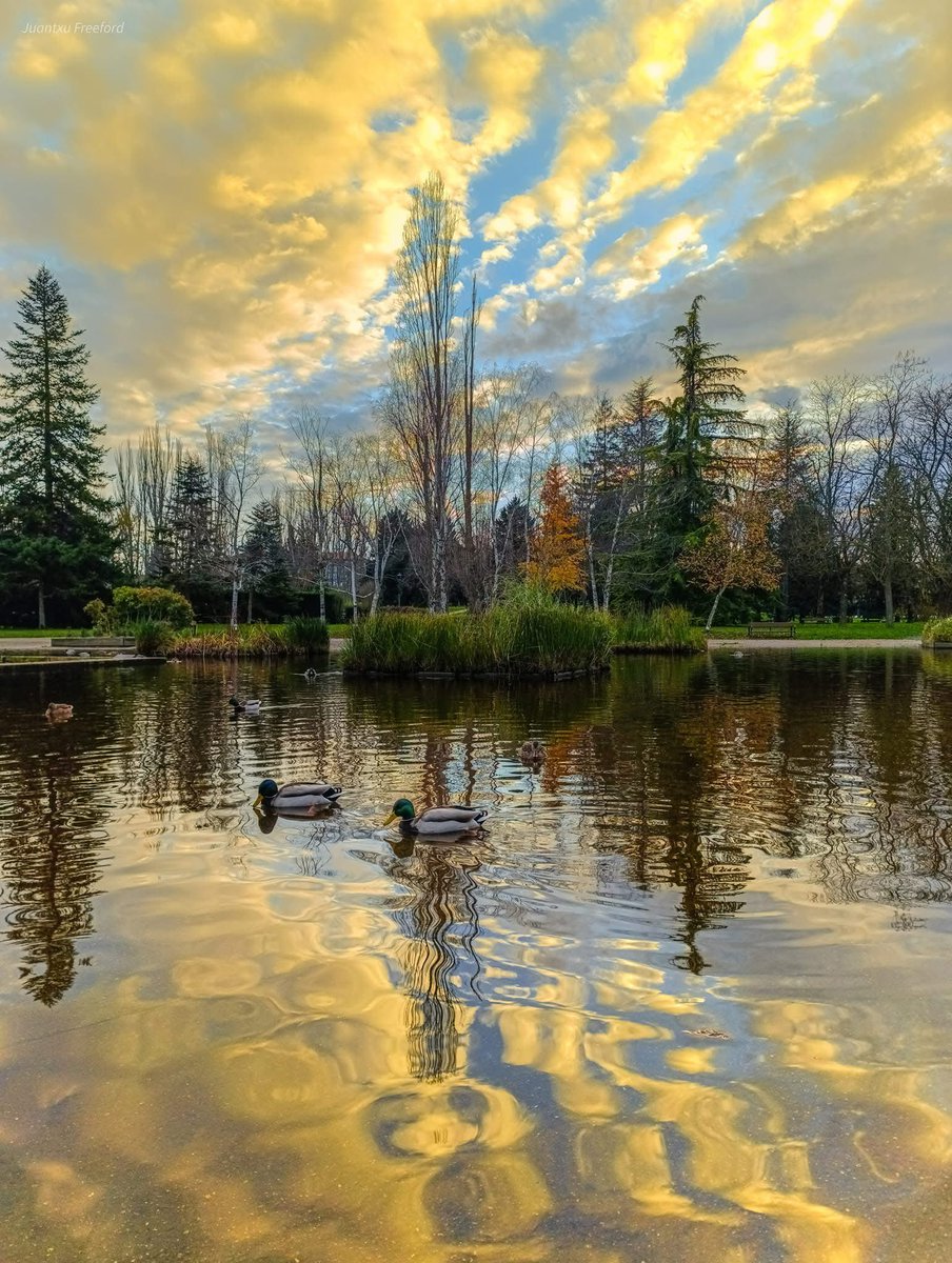 Charca de los patos en Arriaga, Gasteiz
