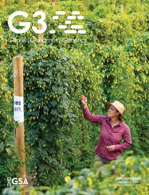 Love hops? Help breed better hops by joining Dr. Kayla Altendorf and her team! Position closes 12/26, so don't wait to apply!

 usajobs.gov/job/824928800

Photo by Ninh Khuu.