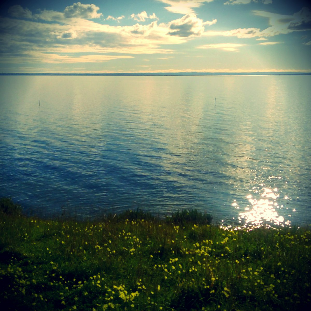 James_Hawke1's tweet image. The Religion of Scientism

Men reason away nature by what they think it &quot;should do&quot; according to their conceptions.  So they devise stories they upscale to &quot;theories&quot; and teach it to the children.  #ego #hubris