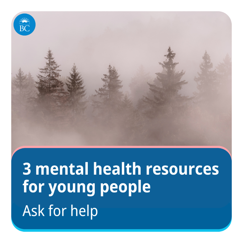 BCGovNews's tweet photo. The winter holidays, combined with exams and deadlines, can be a stressful time for students.

If things feel overwhelming, support is available:
• https://t.co/QmK5yARWVU
• https://t.co/loMLL2wuDe
• https://t.co/pHoXsxxBbR