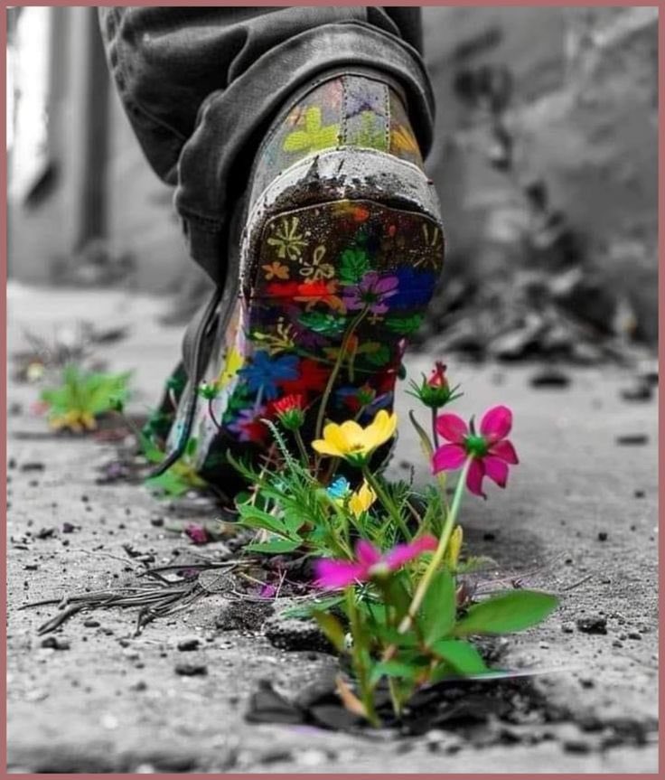 mona77787's tweet photo. 🌸❀❥

إن بذور الخير التي نزرعها اليوم ستنمـو

وتزهر غداً لتعود علينا جميعاً بالسعــادة

والإيجابية  .  .  . https://t.co/C3yuLNgxem