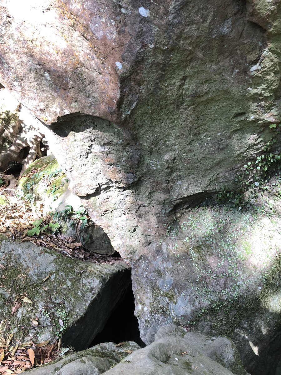 淡日

ここには県内最大級といわれる古代祭祀跡があり、それらをとりもどした異空間は時間が止まったままのような感覚となる。

#磐座