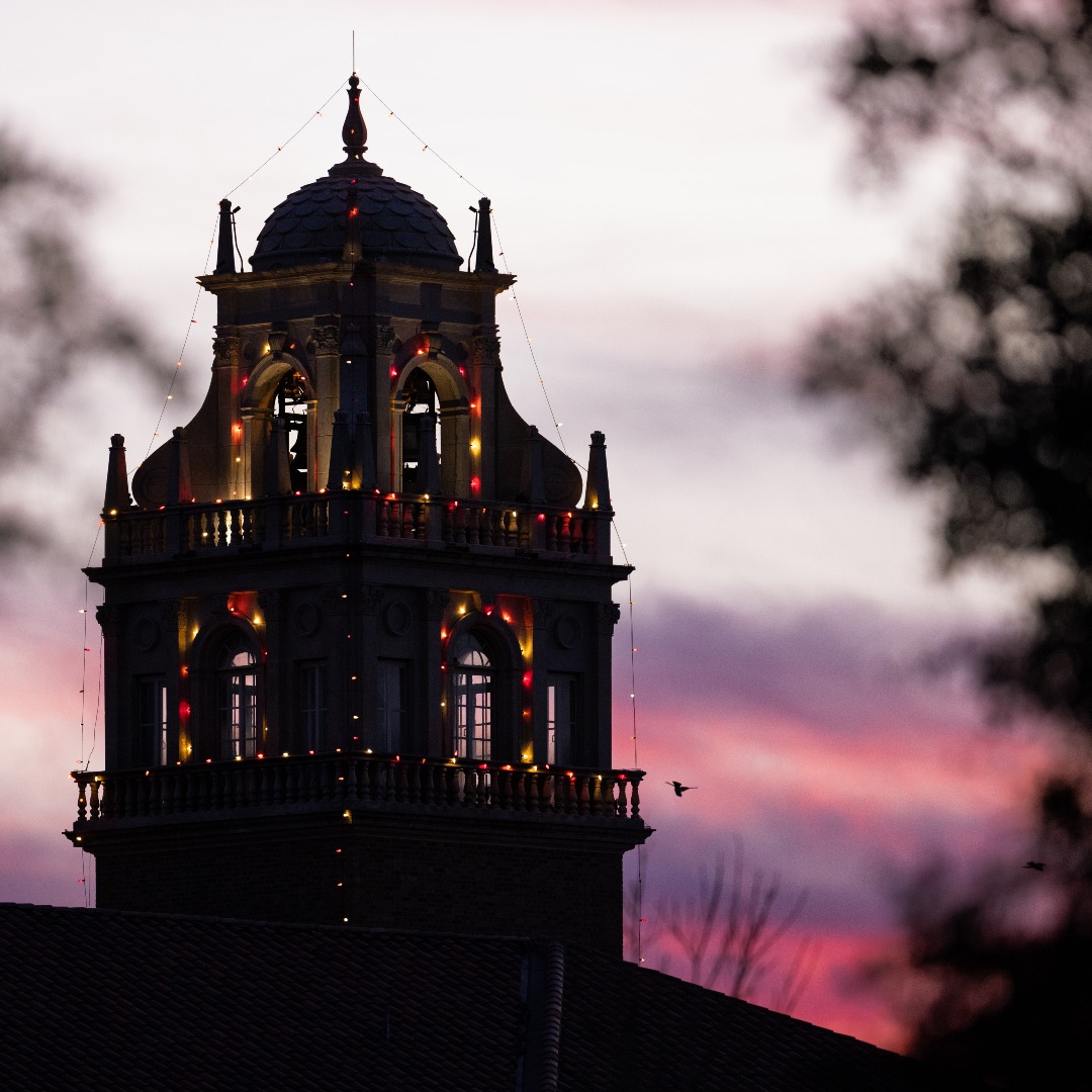 As 2024 comes to a close, your generosity can make a difference at Texas Tech! From online gifts, stocks, or donor-advised funds, there are many flexible ways to give this season. 

Discover how you can give this season: 

 👉 give.ttu.edu/s/1422/20/inte…