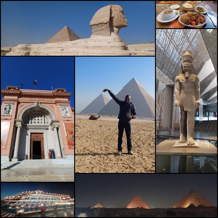 William T. Jackson, PhD tweet media