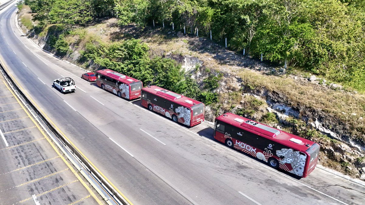 LaydaSansores's tweet photo. Ya están llegando a Campeche! #Koox https://t.co/QZKqTeYmMD