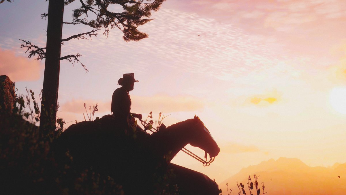 Red Dead Redemtion 2    

#VirtualPhotography #VGPUnite #VPcontext #WorldOfVP #VPRT #ThePhotoMode #LandofVP #RedDeadRedemption2 #RedDeadRedemption #RedDeadOnline #rdr2