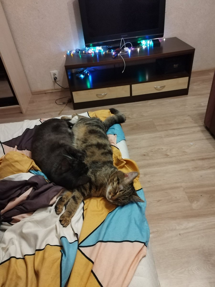 DaddyOfKonoha's tweet image. Жестко откисали всей семьей