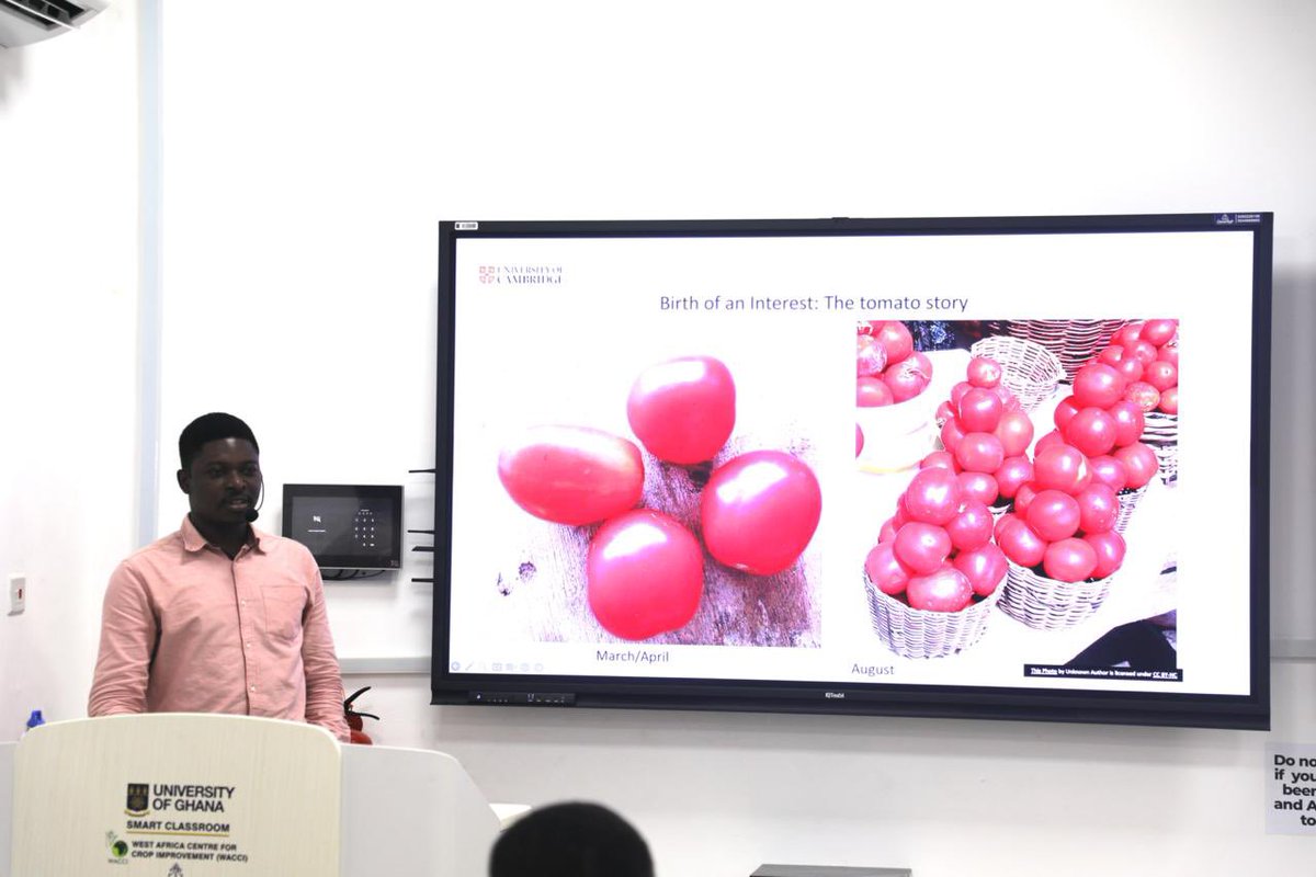 EY_Danquah's tweet photo. WACCI intern Bright Fiakeye inspires with his talk, ‘Becoming a Cantab: My Journey,’ highlighting his MPhil research at Cambridge and future PhD work in Plant Breeding/Bioinformatics. As a First-Class graduate and Eric Danquah Foundation Fellow, Bright exemplifies WACCI’s vision of nurturing leaders for Africa. WACCI, a World Bank Africa Centre of Excellence and one of three VACS Capacity Hubs, is driving innovation in plant breeding for food security. Explore collaboration opportunities: comms@wacci.ug.edu.gh.