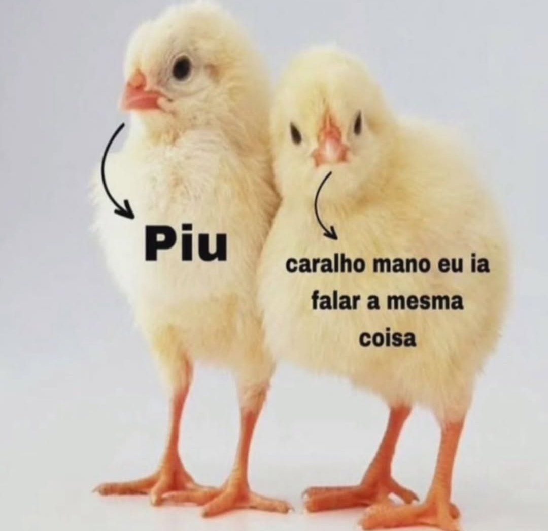 diojodior's tweet image. 