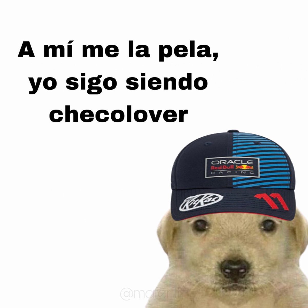 DamarsP11's tweet image. Hoy, mañana y siempre con él 11.
#SiempreCont11goCheco #ChecoIsALegend
@SChecoPerez