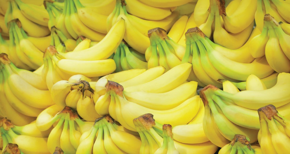 WebMD's tweet photo. Bananas aren't just a go-to source of potassium -- they also supply your gut with inulin, a type of fiber that helps good bacteria grow. 🍌 https://t.co/6Kl0bcIw7p https://t.co/FrX5MYReH1
