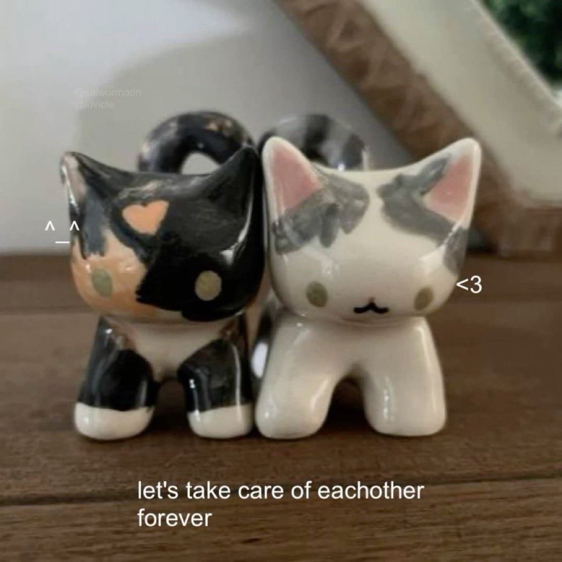 PunchingCat's tweet photo. us https://t.co/qINSC1eVwi
