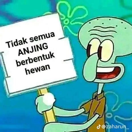 Arif tweet media
