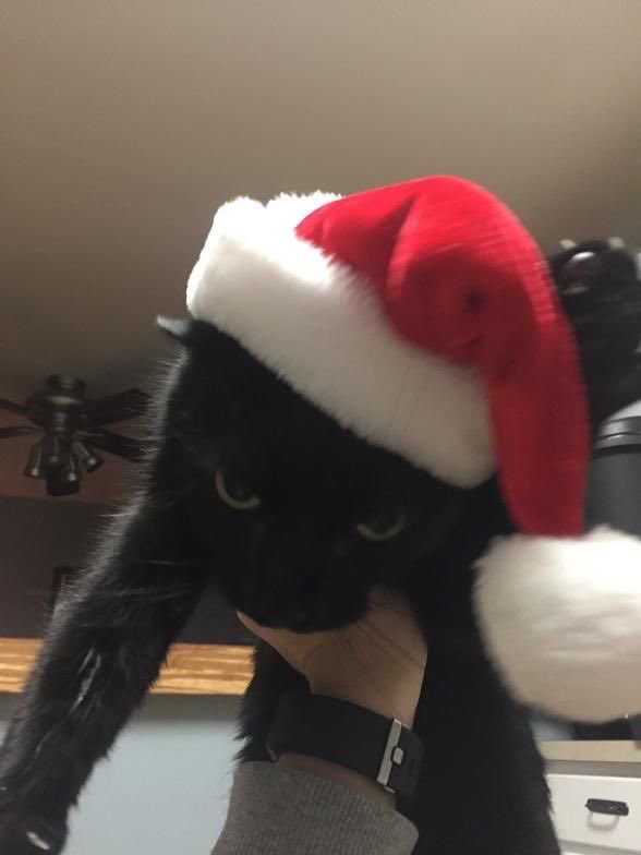 blackscats's tweet photo. https://t.co/A8Aq8GD7qm