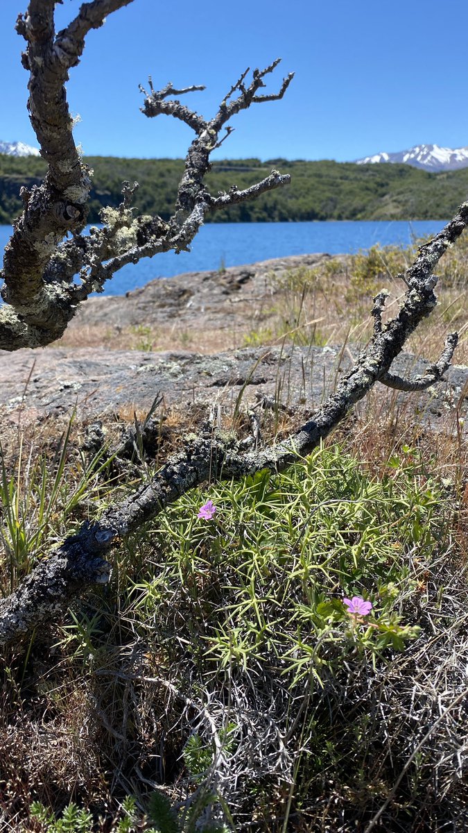 Lago Tamango - Región de Aysén <a href="/biobio/">BioBioChile</a>