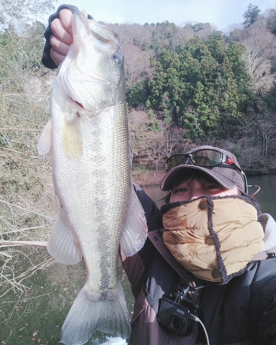 genkimitsu1212's tweet photo. 亀山で48がライク5で釣れました。めっちゃ引いたわイェイイェイ。雪だし帰ろうかな
#engine_fishing
#engine_bass
@engine_fishing https://t.co/JgfE5sGY73