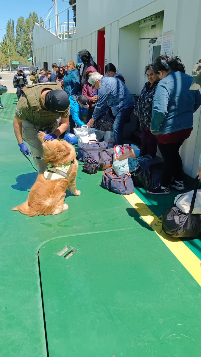 Carab_Aysen's tweet photo. 🚨Fiscalización en Acción:
Plan #NavidadSegura: Carabineros #OS7 #Aysén apoyados por el can antidrogas "Gazu" fiscalizó barcaza de #ChileChico e identificó a 2 infractores a Ley 20.000.
Reafirmamos el compromiso con la seguridad y la lucha contra el tráfico de drogas en la región https://t.co/LM7ACZbvWj