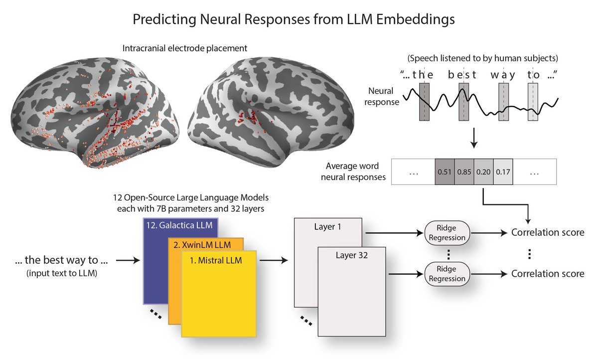 This is pretty 🤯 discovery.

LLMs are becoming more brain like as they advance, researchers discover.

Researchers at Columbia University and Feinstein Institutes for Medical  Research Northwell Health recently carried out a study investigating the  similarities between LLM