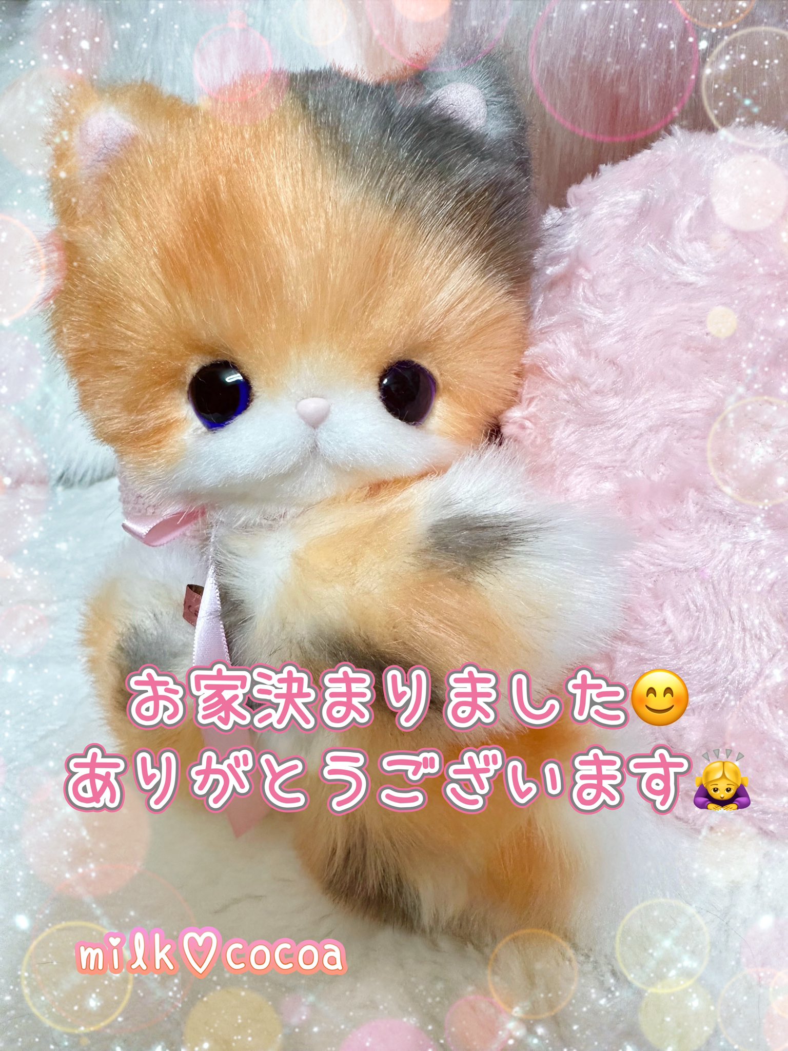 決まりましたたくさんコメントありがとうございます - その他