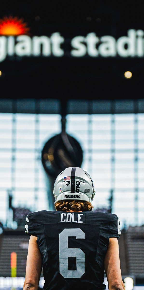 Las Vegas Raiders tweet media