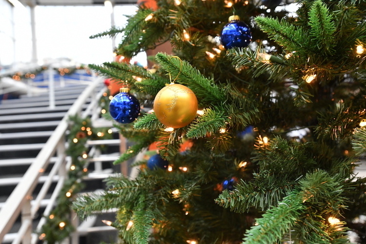 🎉 Happy Holidays from WVU Career Services! 🎉

As we wrap up 2024, we're all set for an exciting Spring 2025 semester.

Get ready to connect with top employers and explore new career opportunities. Stay tuned for more details!

careerservices.wvu.edu/events