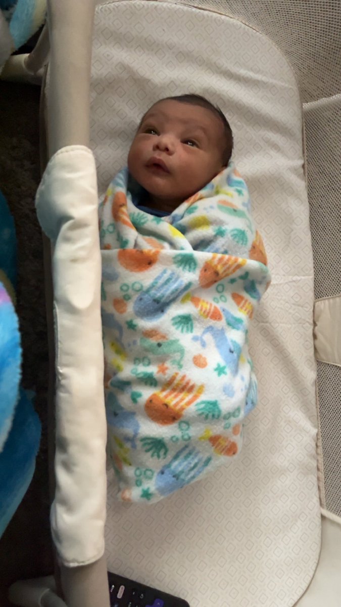 bluestarkitten's tweet photo. My sweet baby boy 💙 https://t.co/yMNc9QPVuS