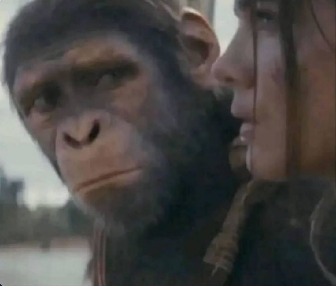 How I look at bro after he asks me to make a tiktok with him