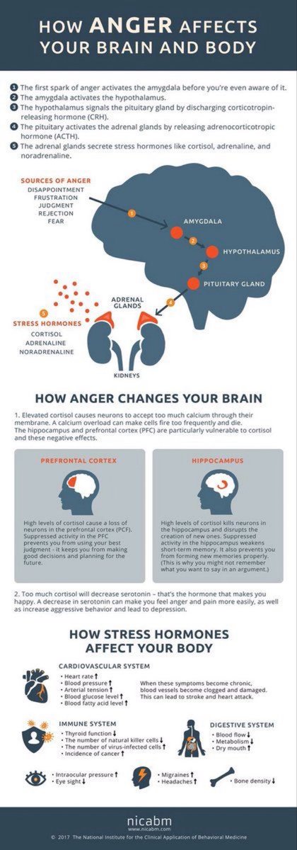 How Anger changes your  brain