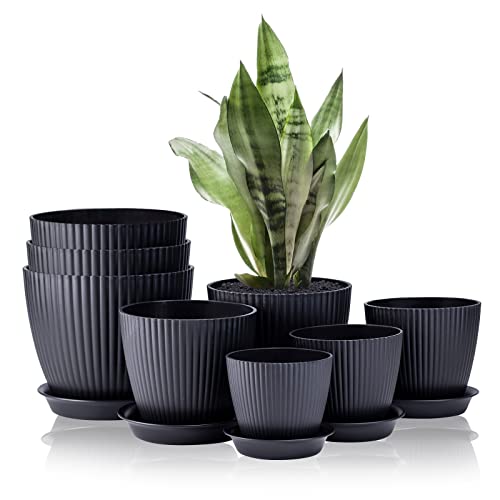 An item on my Throne wishlist just got fully funded: FORAGIFT 8 Pack Plant Pots Indoor, 19/17.5/16.5/16/14/13/11.5/10cm Stripe Grooves Plastic Flower Pots with Drainage Holes and Tray, Modern Decorative Planter Pot f. Thank you! throne.com/valenvain #Wishlist #Throne