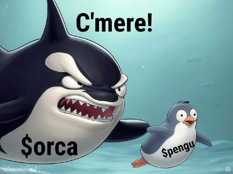MaimulTheMonkey's tweet photo. @MarioNawfal Hi Mario! Would like to introduce you $ORCA the $PENGU killer. Our narrative is strong, looking to get revenge on those penguins that used people as exit liquidity and made us lose a lot of money! Pure community! 

5HyZiyaSsQt8VZBAJcULZhtykiVmkAkWLiQJCER9pump https://t.co/FuxDAjfak0