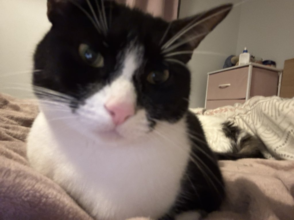 simi🍒 tweet media