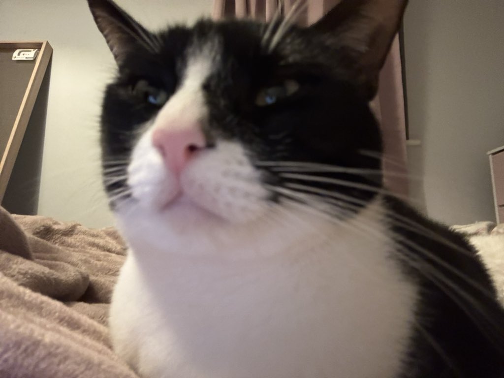 simi🍒 tweet media