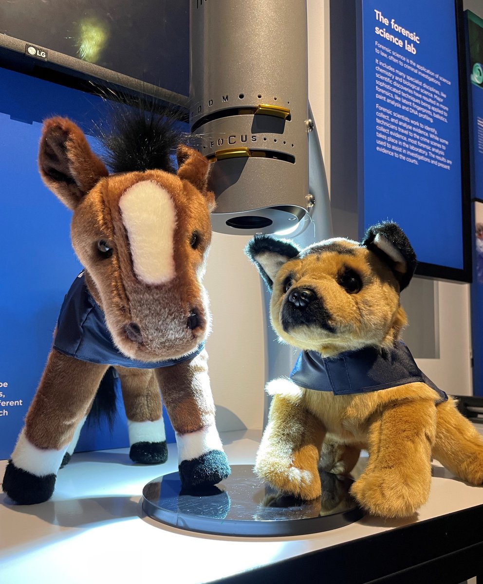 Hooved had thought fingerprints are either loops, arches or whorls?
Our resident toy police horse &amp; dog share their latest ‘creative’ in the Trooper &amp; Shar travel series.
Visit the museum these school holidays to check your prints under the microscope.
bit.ly/4gsQfG1