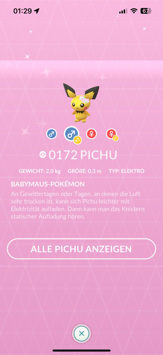 StarrockMuhfa2's tweet photo. @1heBlueDragon There are 2 flower crown pichu https://t.co/CrdKbvWb5r