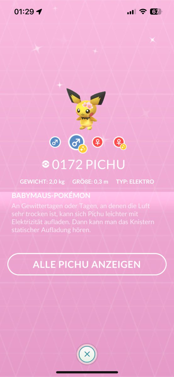 StarrockMuhfa2's tweet photo. @1heBlueDragon There are 2 flower crown pichu https://t.co/CrdKbvWb5r