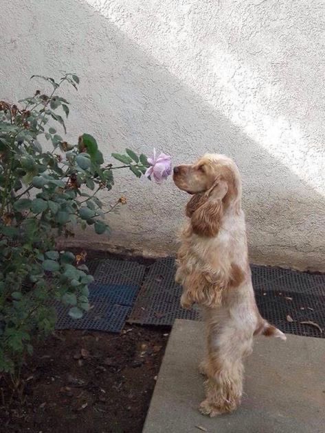 twaniimals's tweet photo. https://t.co/ILVLaZEBYp