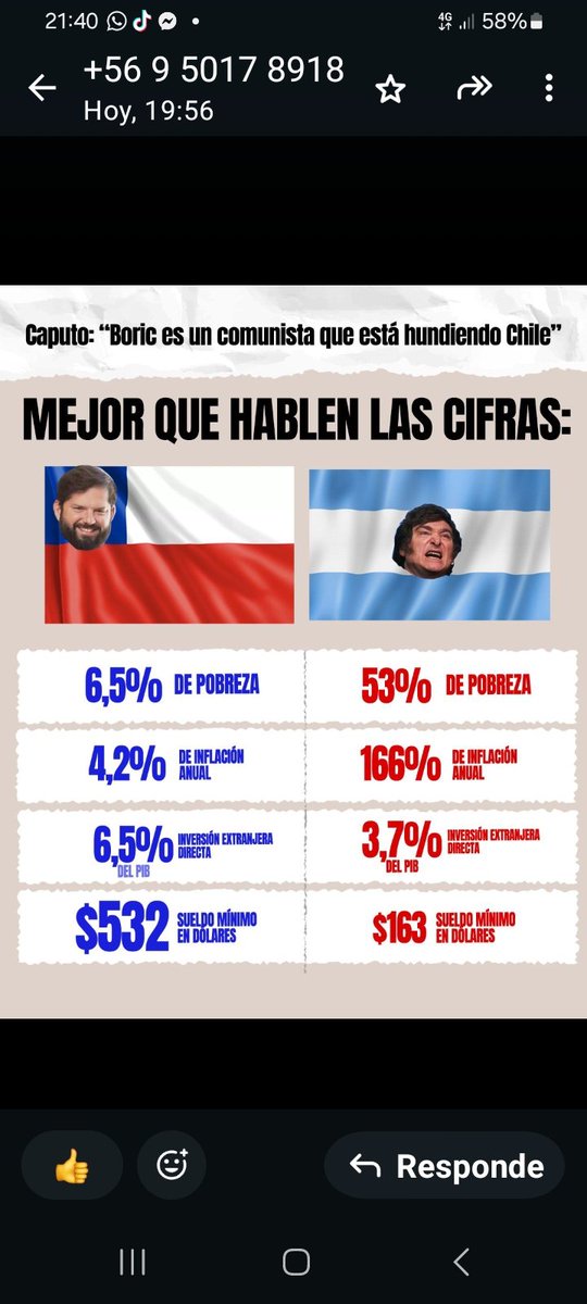Noelia Lucero tweet media