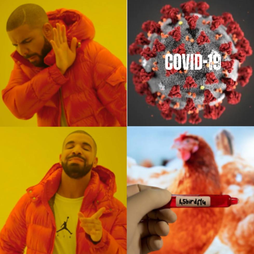 pekaitoo's tweet photo. @Rep100x Have you heard of the $H5BIRDFLU going around? It's literally going viral! https://t.co/IIeN9qdK6B