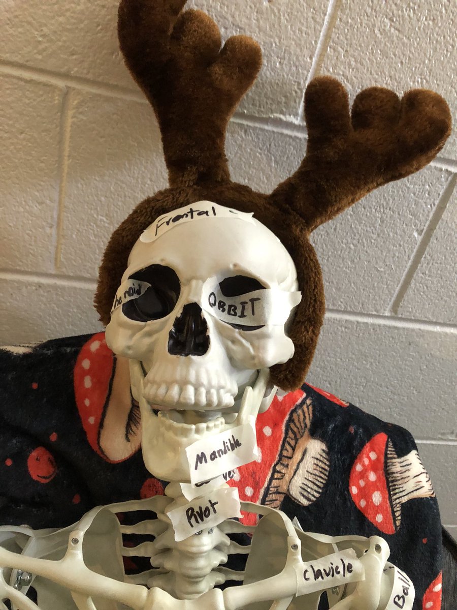 Mr. Bones tweet media